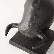 bull bookend head from above